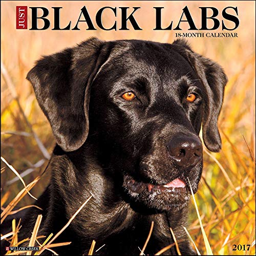 Just Black Labs 2017 Wall Calendar (Dog Breed Calendars)