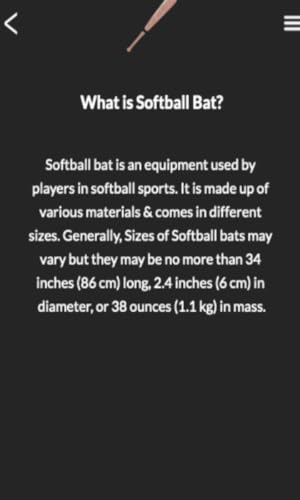 Softball Bat