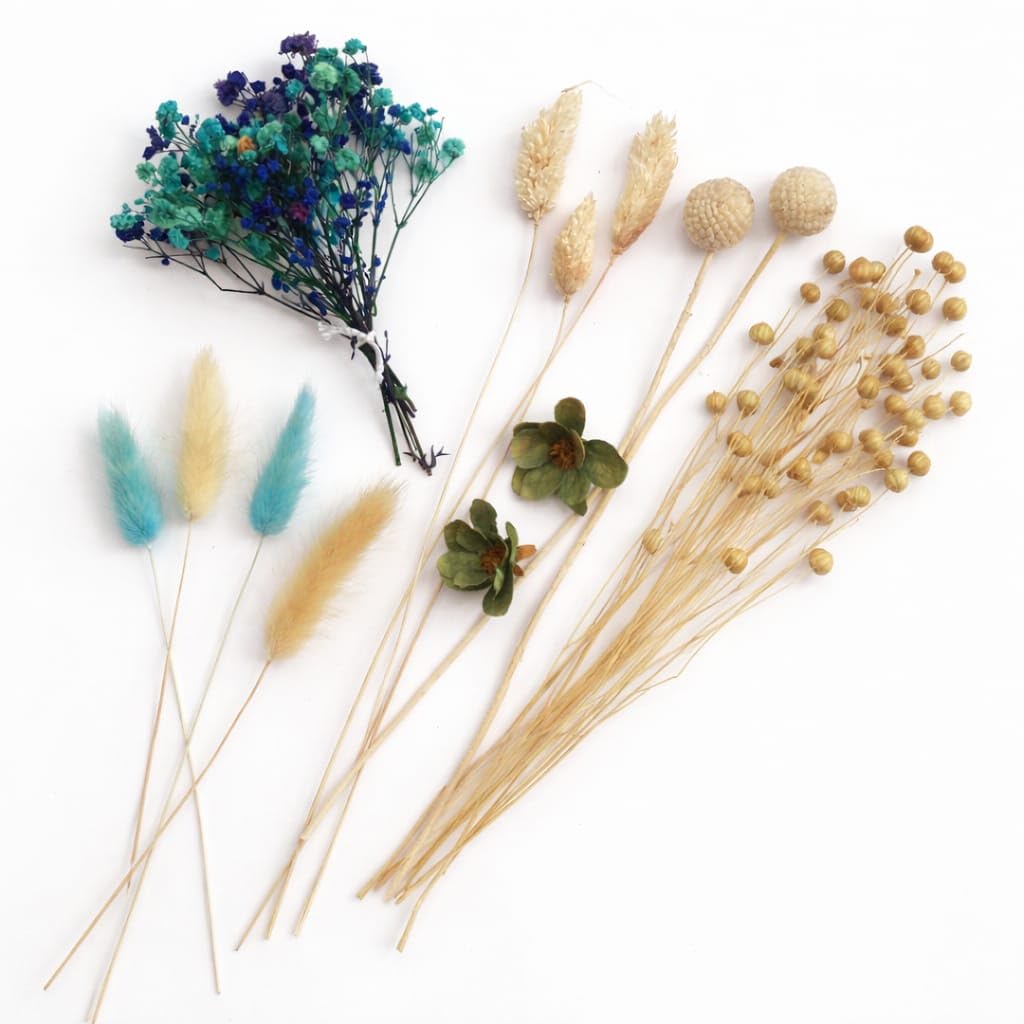 Dried Flower Premium Mix Pack, Blue-image-19