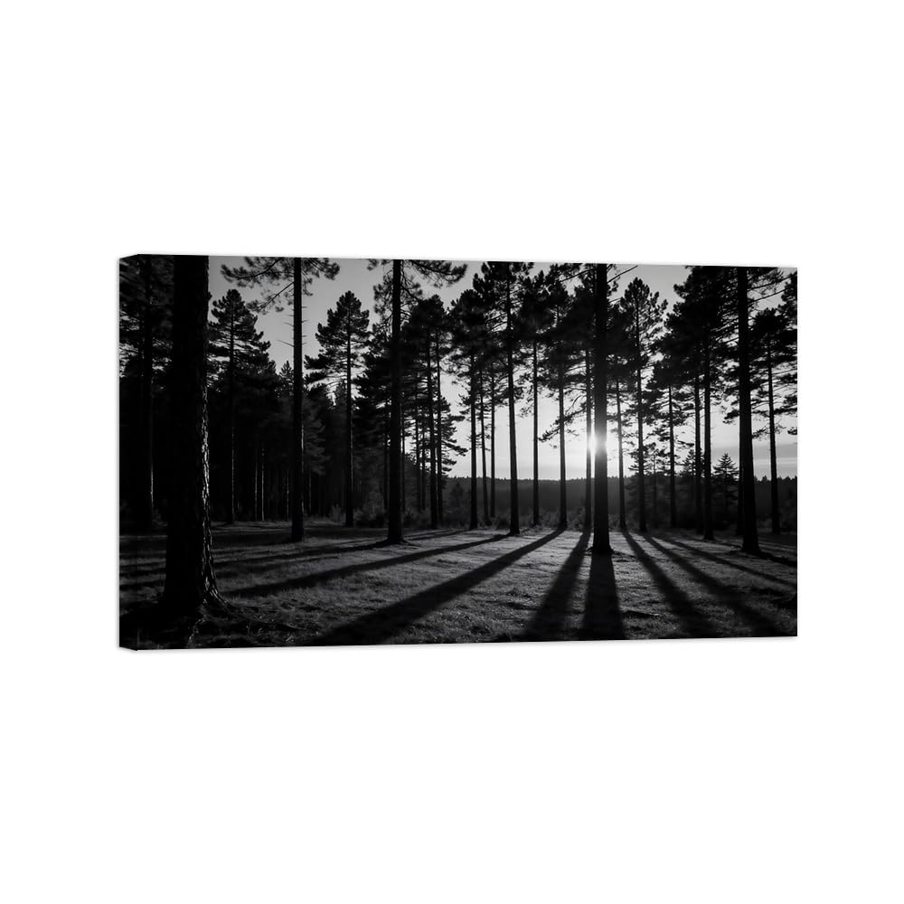 Forest Tree No.2 Black White Landscape Wall Art Prints 50x85cm Framed