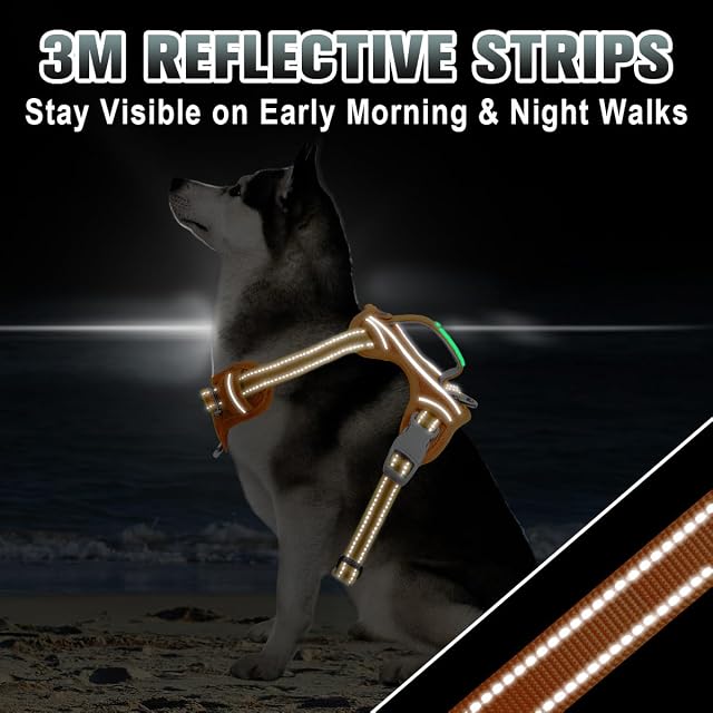 Foto 7 de 8 de BARKBAY Arnés para Perro sin tirones, Reflectante Grande con Clip Frontal y asa de fácil Control para Caminar