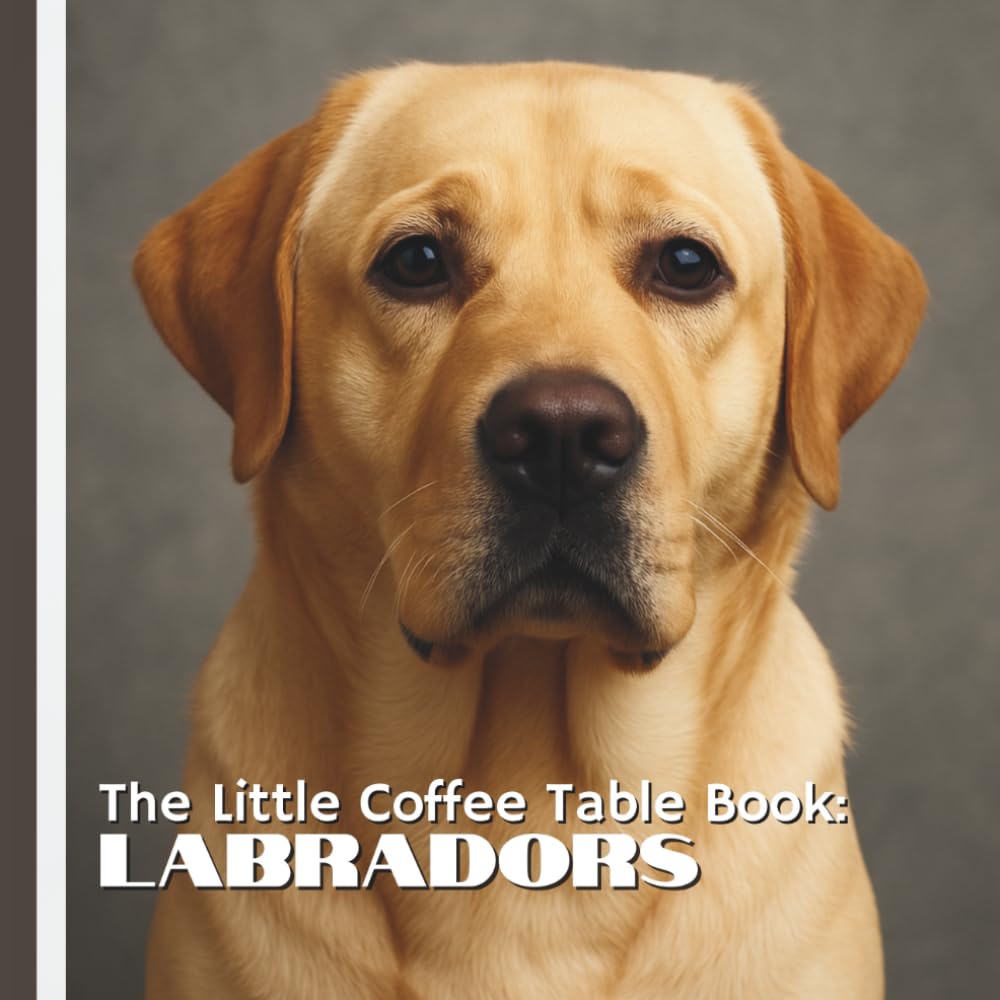 The Little Coffee Table Book: Labradors: Featuring stunning photos and engaging content, this book is perfect for dog lovers of all ages.