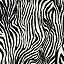 Real Vector Zebra Print