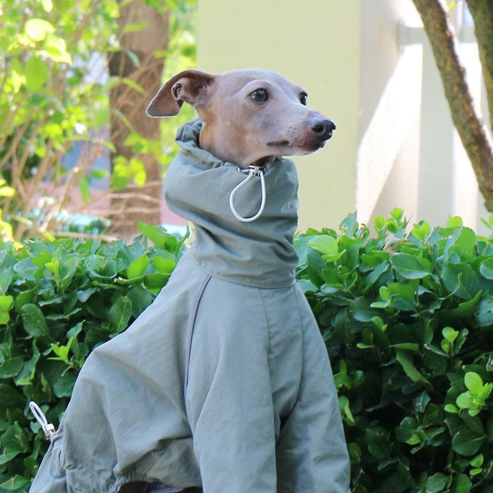 wasserdichte, verstellbare Jacke mit hohem Kragen für italienische Windhunde, 4 Beine, reflektierender Streifen, Hundemantel mit Reißverschluss für Whippet-Hunde