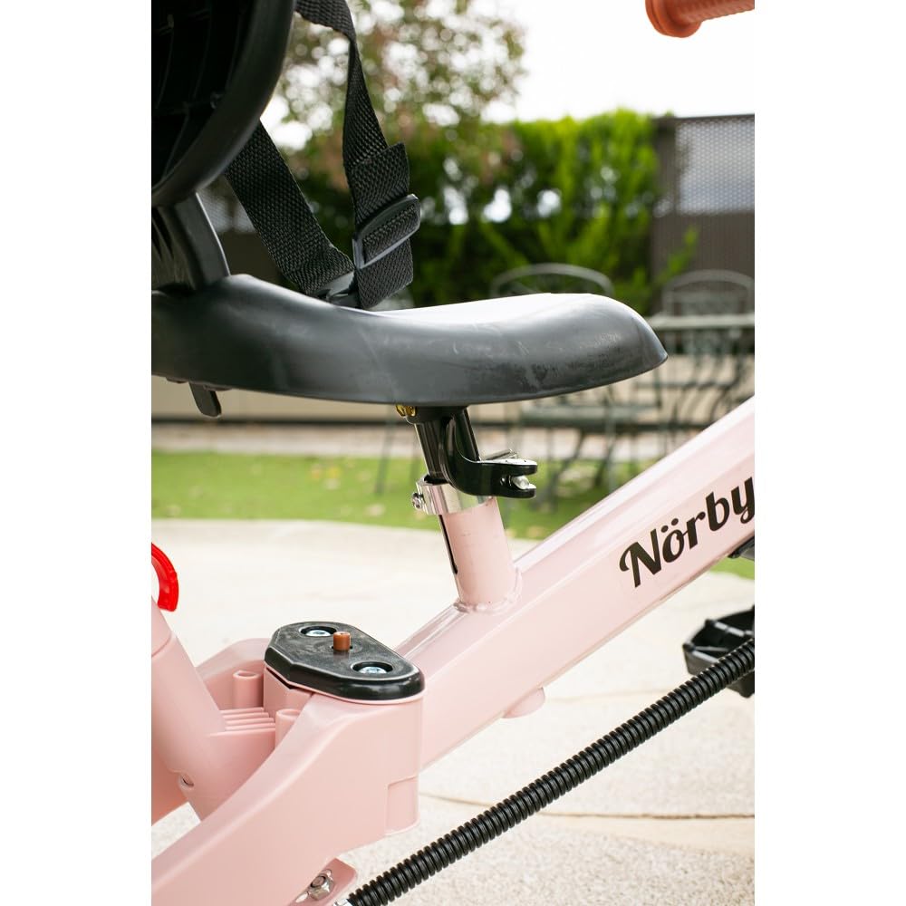 Interbaby - Triciclo "Norby" e Bici Evolutiva 5 in 1 con Capottina - 1-5 Anni
