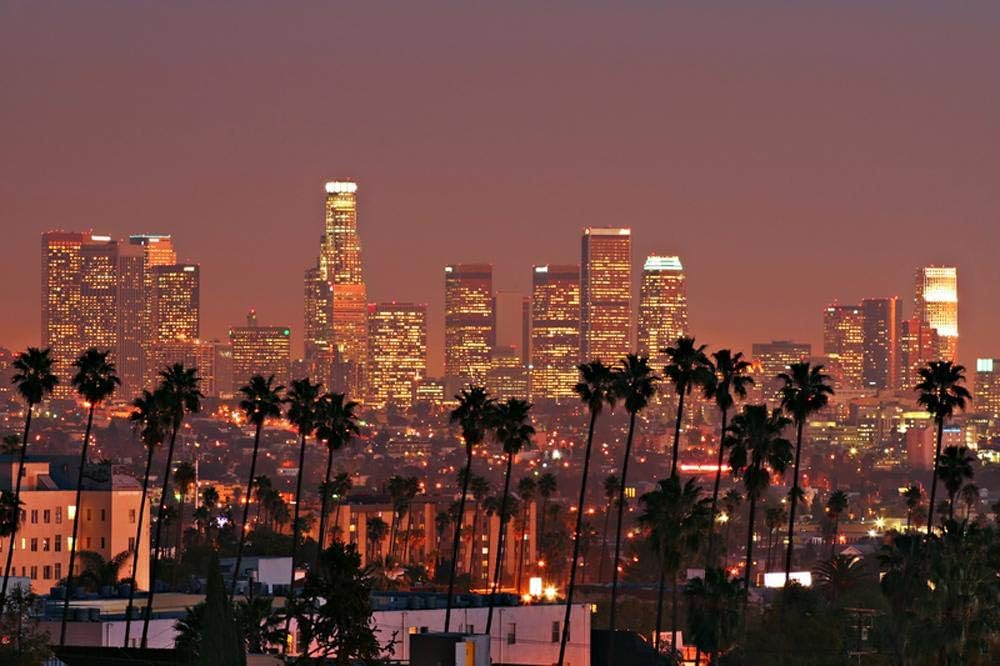 Wallmonkeys Los Angeles Skyline Wall Mural Peel and Stick Vinyl Graphic (60 in W x 40 in H) WM525466