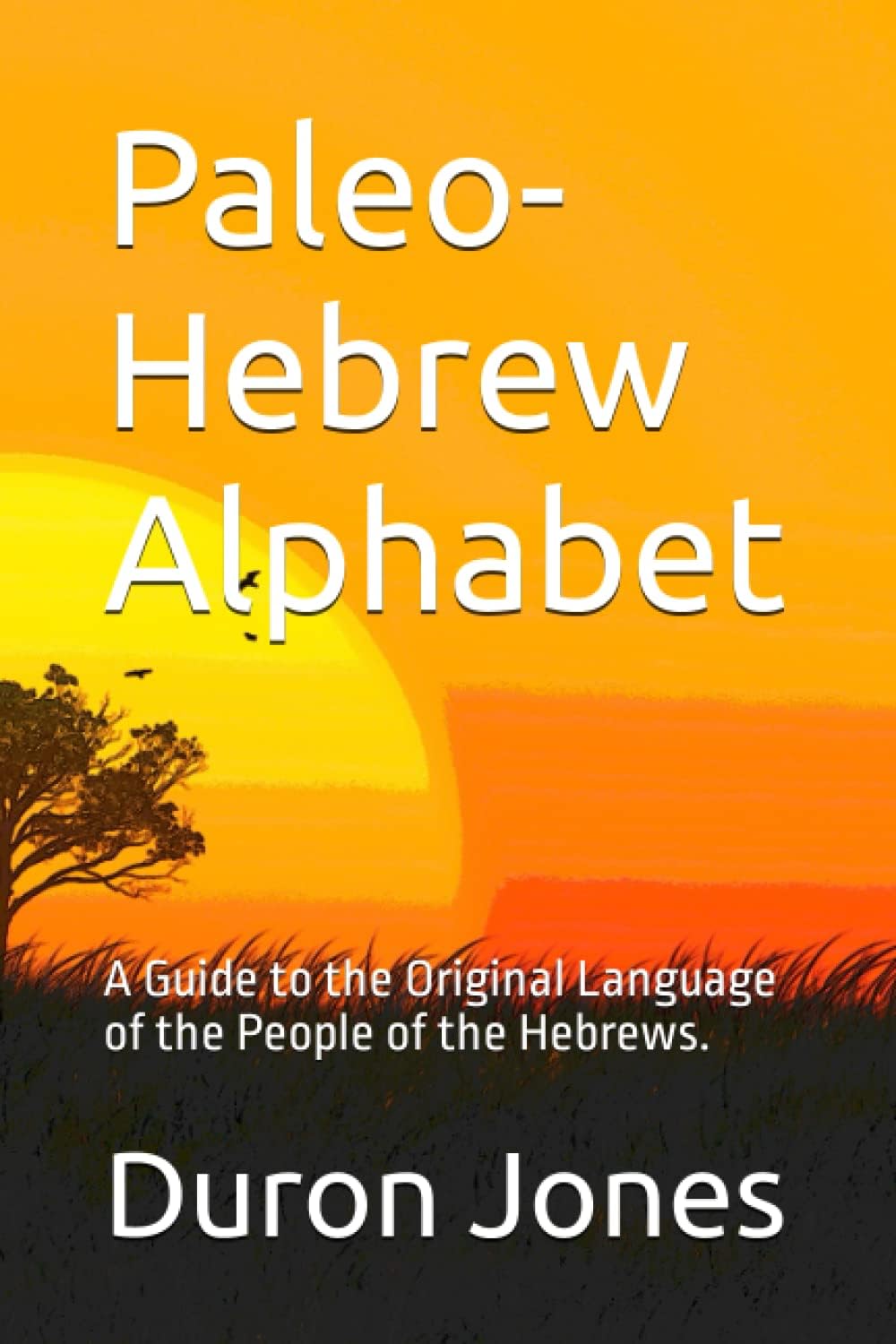 Paleo-Hebrew Alphabet: A Guide to the Original Language of the People of the Hebrews. (Paleo-Hebrew Language, Band 1)