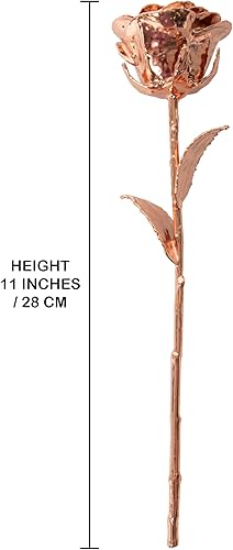 Miniatura 5 de VonDelve Rosa real bañada en oro rosa de 24 quilates, flor auténtica natural seleccionada a mano preservada como un recuerdo eterno para esposa,