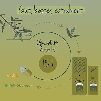 Olivenblattextrakt Kapseln 40% Oleuropeino Spanischer Olivenblatt Extrakt (15:1) 500mg - Entspricht 7500 mg Olivenblättern 90 Stück Vegan von Vegavero
