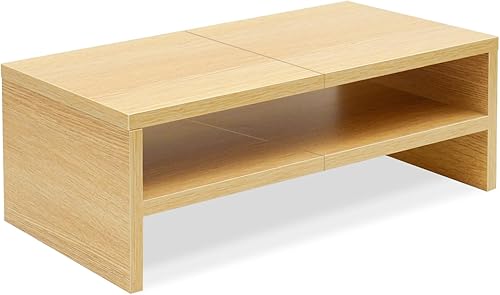 TEAMIX Soporte elevador para monitor de escritorio de 2 niveles, soporte de impresora de 20 pulgadas con almacenamiento pequeño elevador de TV para