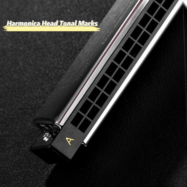 Amazon.com: Swan 24-hole Polyphonic Harmonica 7 sets silver
