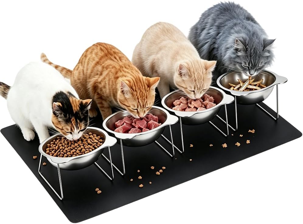 WEBEEDY 4 Sets Elevated Cat Food Water Bowls Stainless Steel 15°Tilted Stand Anti Vomiting Cat Feeding Station with Silicone Mat for Multi DOD Cat Household Pet Food and Water Dishes