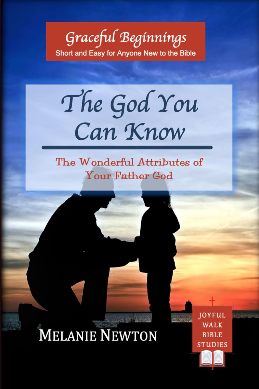 The God You Can Know: The Wonderful Attributes of Your Father God
