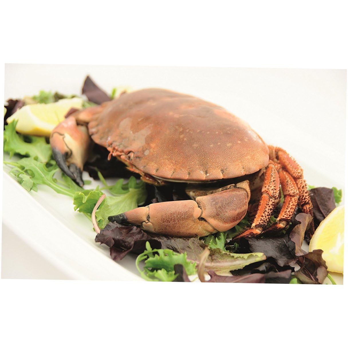 Juego de Herramientas para Mariscos Cascanueces y Pinzas para Marisco 12 Piezas Aleación de Zinc y Acero Inoxidable Ergonómico Aficionados Cenas en Casa