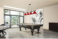 Vista 2 de Z-Lite 2306-4BRZ-PRD - Colgante de billar con cordón, 4 luces, 240 vatios totales, bronce