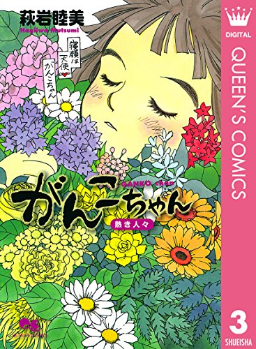 がんこちゃん～熱き人