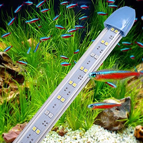 WANGIRL Ultra-Thin Crystal Double Row Arowana Lamp Aquarium Light LED Lamp Aquarium Dive Lamp Waterproof Diver Land Dual-Use,90cm