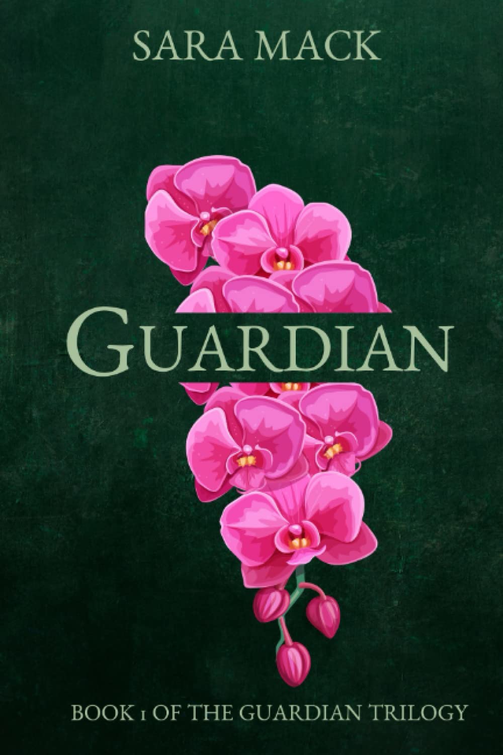 Guardian: 1 (The Guardian Trilogy)