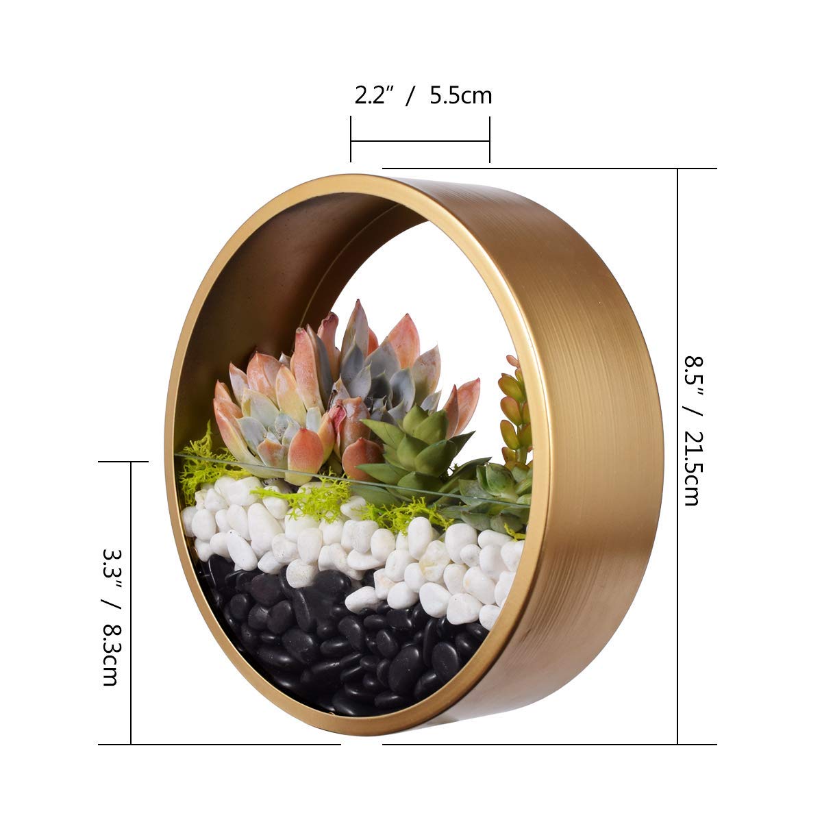 FOUNCY Transparante plantenbak voor muurbevestiging | Doorzichtige muurvaas vetplant | Wandvaas plantenpotten Indoor Bloempot Indoor Plant Ronde Wandgemonteerde vaas voor decoratieve mandplanten