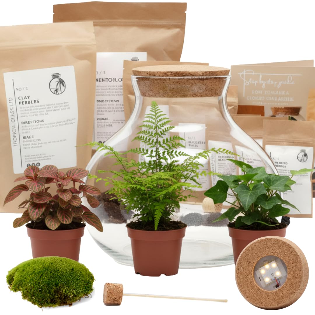 Glass Terrarium Container with Cork Lid, 24 cm High x 26 cm Wide, Hand Blown Clear Glass, Terrarium Jar (with LED Cork Lid, Glass + Starter Kit + Plants)