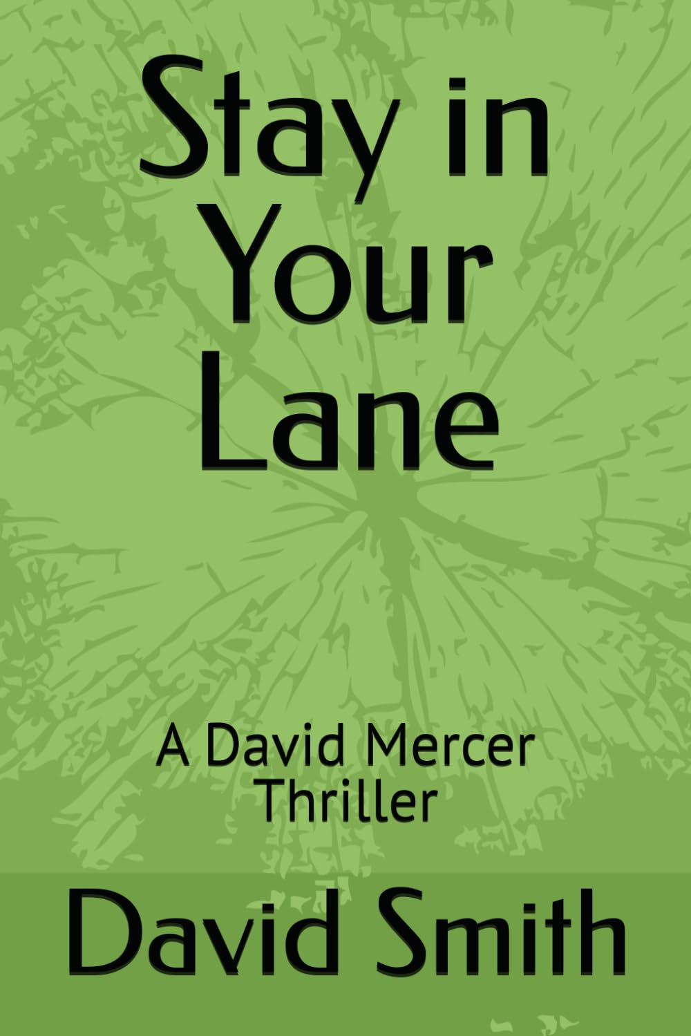 Stay in Your Lane: A David Mercer Thriller