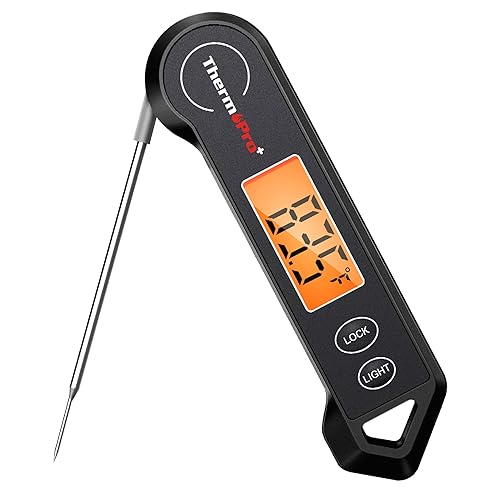 Digital Meat Thermometer to cook things for Branch