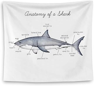 QGFM Shark Tapestry, Shark Wall Decor, Anatomy of a Educational Tapestry Wall Hanging for Classroom Kids Room Bedroom Playroom Decor, Marine Biology Decors, Ocean Classroom Decor, 50x60 Inches