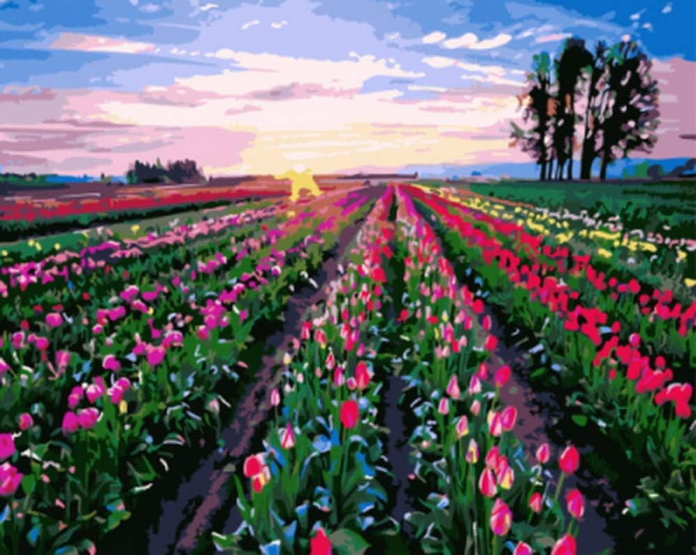 GCQBLM Painting By Numbers For Adults Oil Diy Paint By Numbers for Adults Kits Children Paint By Numbers For Home Decor Canvas Painting Tulip Field Kits Frameless 16X20 Inch
