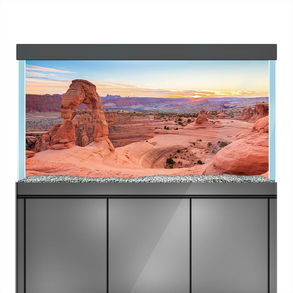 Aquarium Background Stickers - Rock, Arch, Mountain, Canyon - Fish Tank Reptile Terrarium Decor Poster (90 x 60 cm / (35.4 x 23.6 inches))