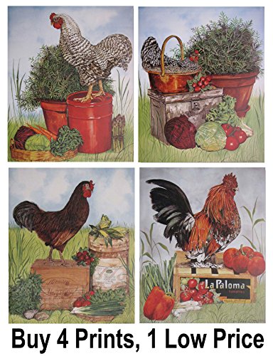 Rooster Chicken Farm Animal Four 8X10 Set Picture Kitchen Wall Decor Art Print Posters #TOP6