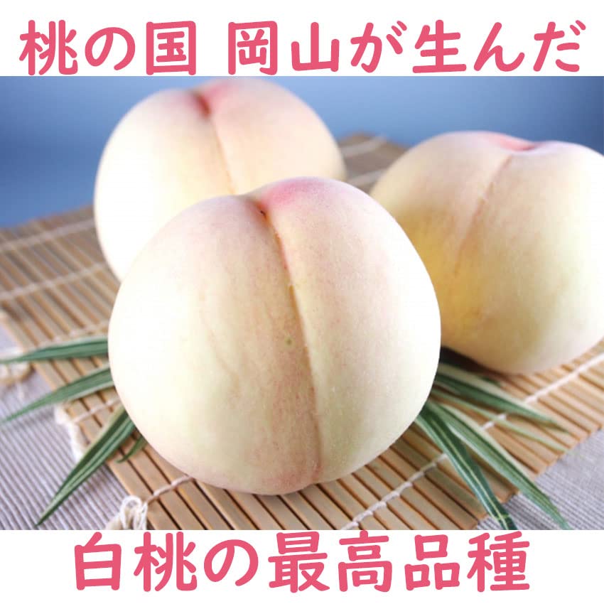 Amazon.co.jp: 清水白桃 桃 岡山県産 3玉 900g 大玉ｻｲｽﾞ ﾛｲﾔﾙ 糖度ｾﾝｻｰ