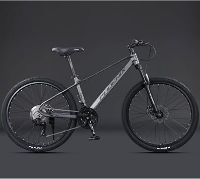 Road Bike, Road Cycle, Bicycle, 700C, Road Bike, Magnesium Alloy Frame, Bicycle, Internal Wiring, Disc Brake, 24/27 Speed Gears, Street Riding, Commuting to Work or School