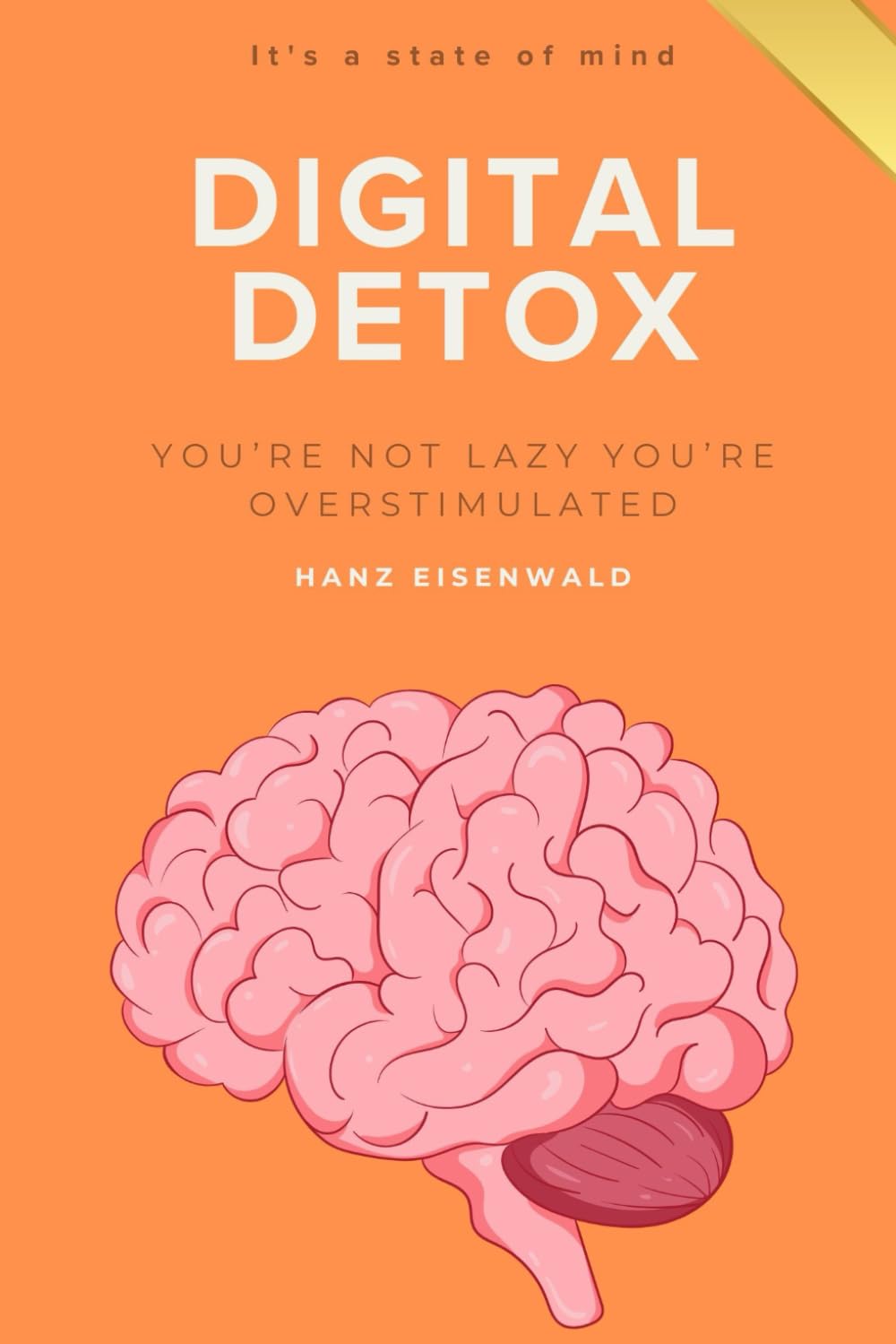 You’re Not Lazy — You’re Overstimulated: A Gentle Digital Detox to Regain Focus, Motivation, and Mental Clarity in a World Designed to Distract You