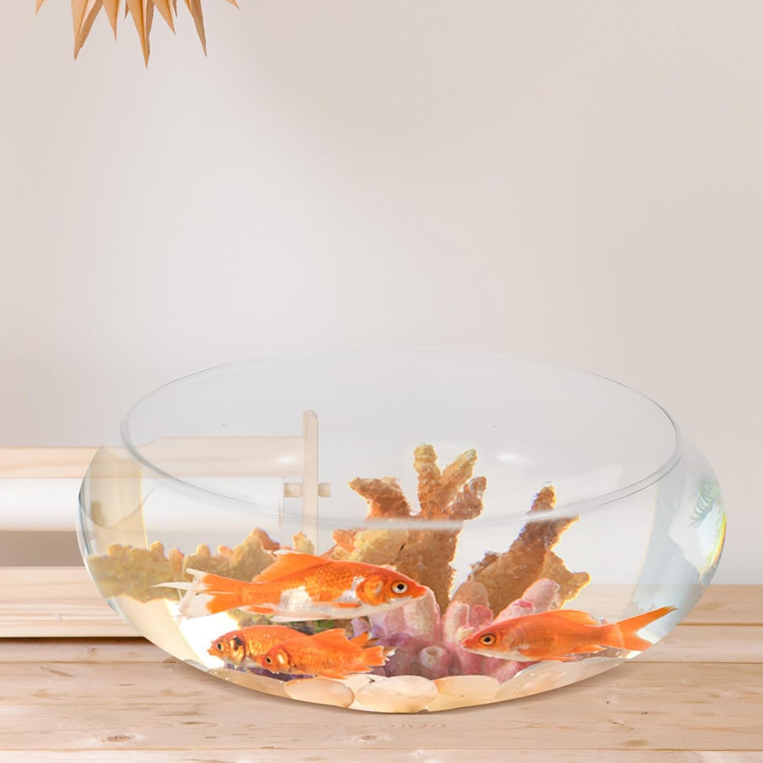 DOITOOL Clear Glass Fish Bowl 9.84 Inch Desktop Aquarium Small Fish Tank Planter for Goldfish Hydroponic Plants Home Office Wedding Decor