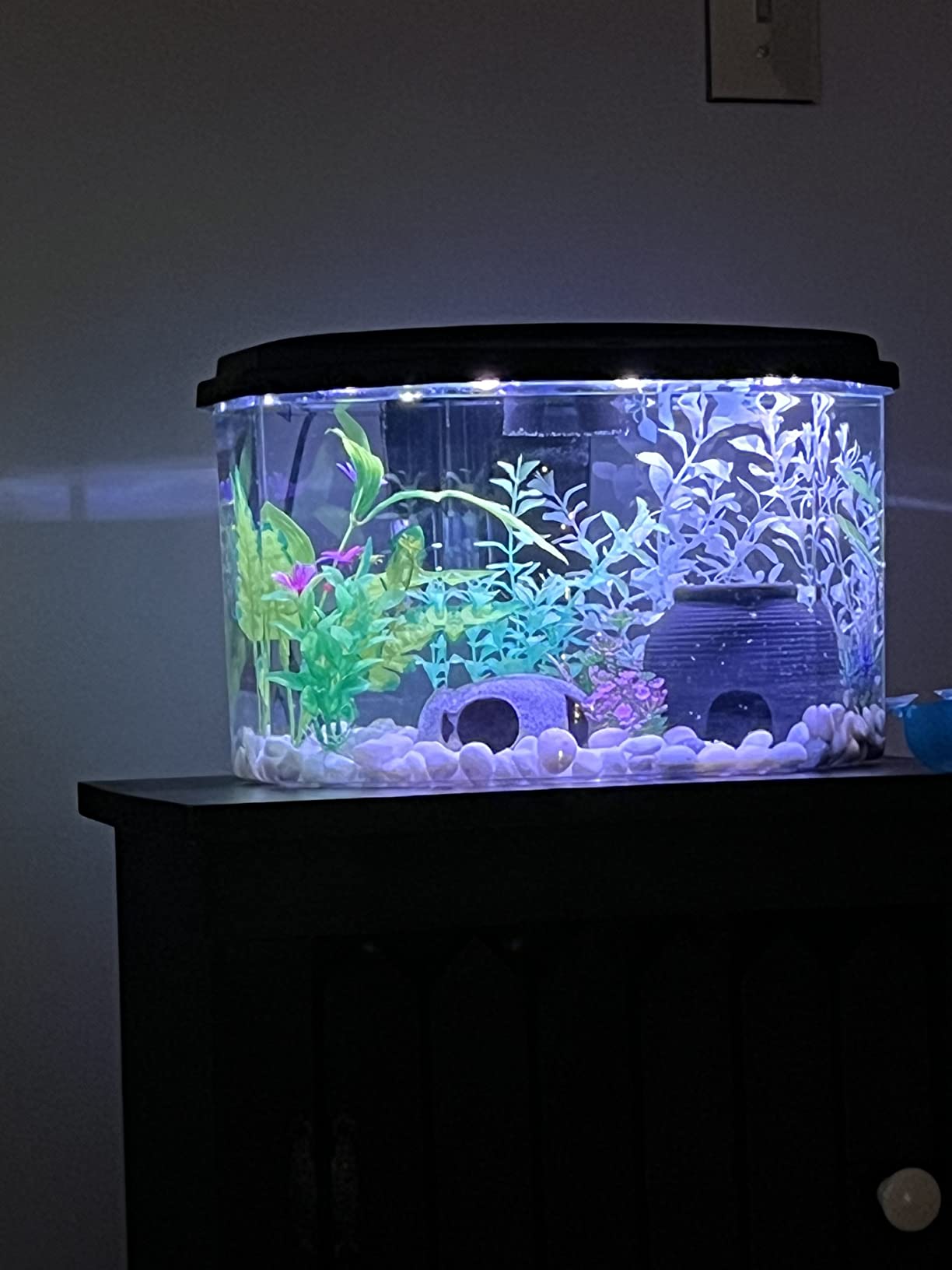 10/mo Finance Koller Products 3Gallon Aquarium Starter Kit with 7