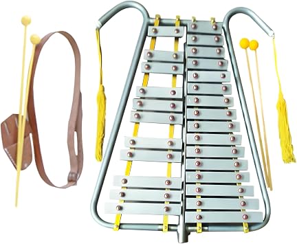 Glockenspiel Instrument, 25/27/29 Tone Aluminum Alloy Percussion Bell Kit with Mallets and Accessories, Beginner Student Percussion Kit for Learning and Practice 25 Sounds