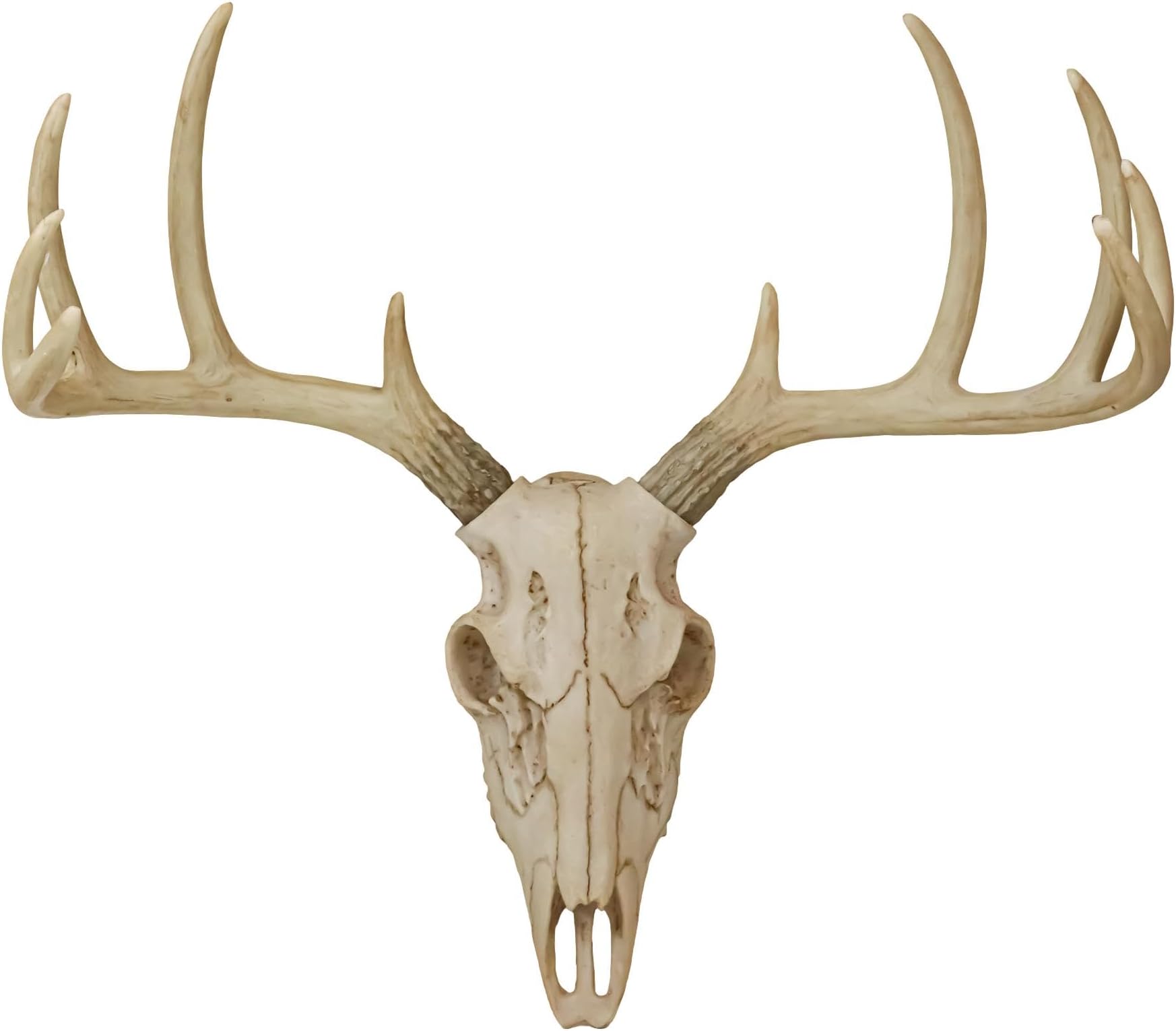 Rustic Hunter Deer 10 Point Buck Skull Trophy Antlers Wall Mounted Plaque Decor Figurine 14.25" Long Hunter's Antler Rack Theme Deer Buck Hunting Skulls Trophies Hanging Sculpture