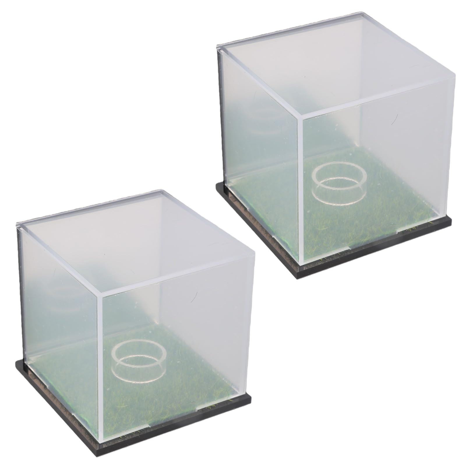 Golfs Ball Showcase Box Dustproof Golfs Protector Case with Base for Earphone Single Balls Collections Clear Storage Container