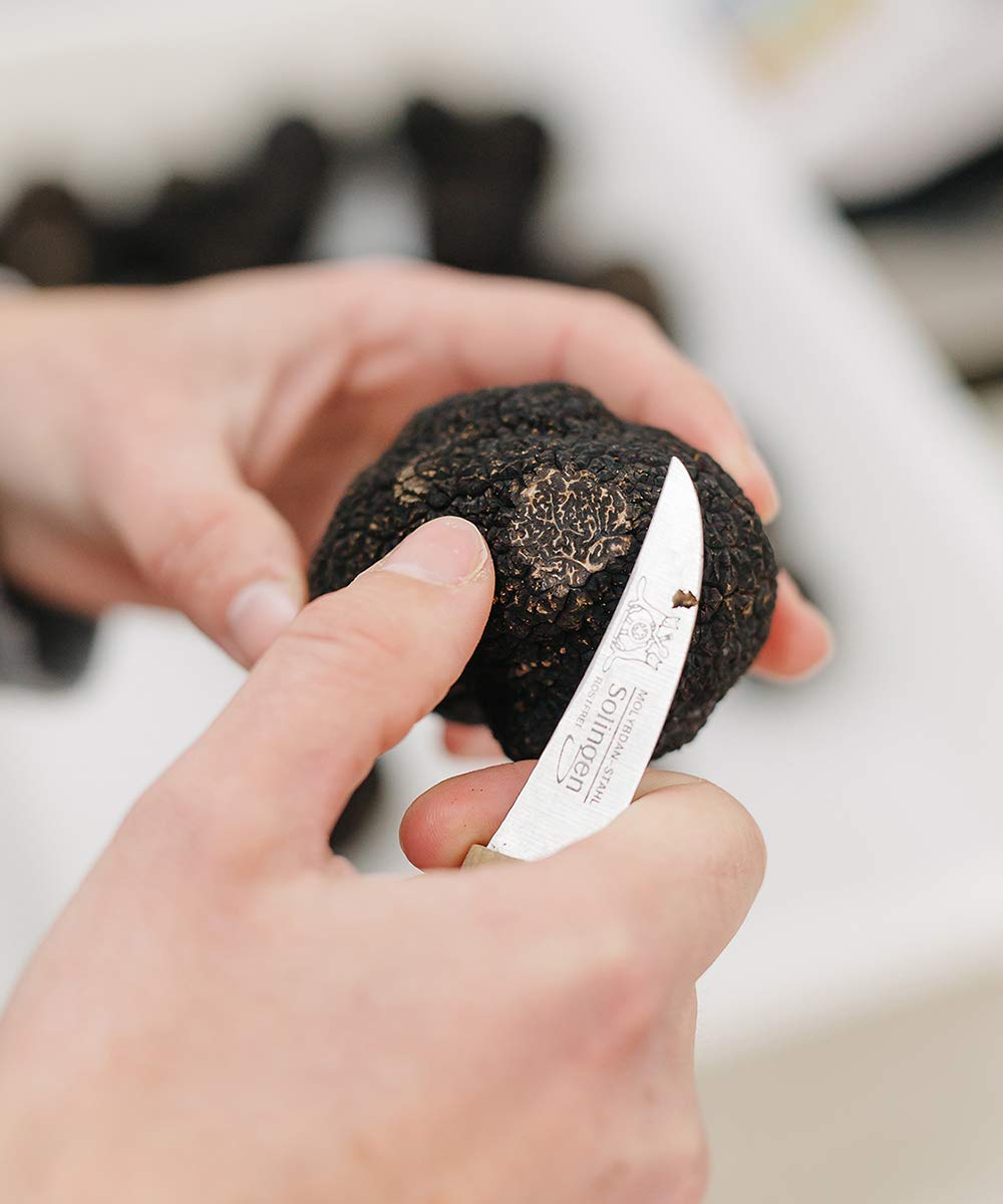 Trufa Negra Natural en su Jugo Tuber Melanosporum para Cocina Gourmet - 15 gr Trufa Española de Sarrión, Teruel.