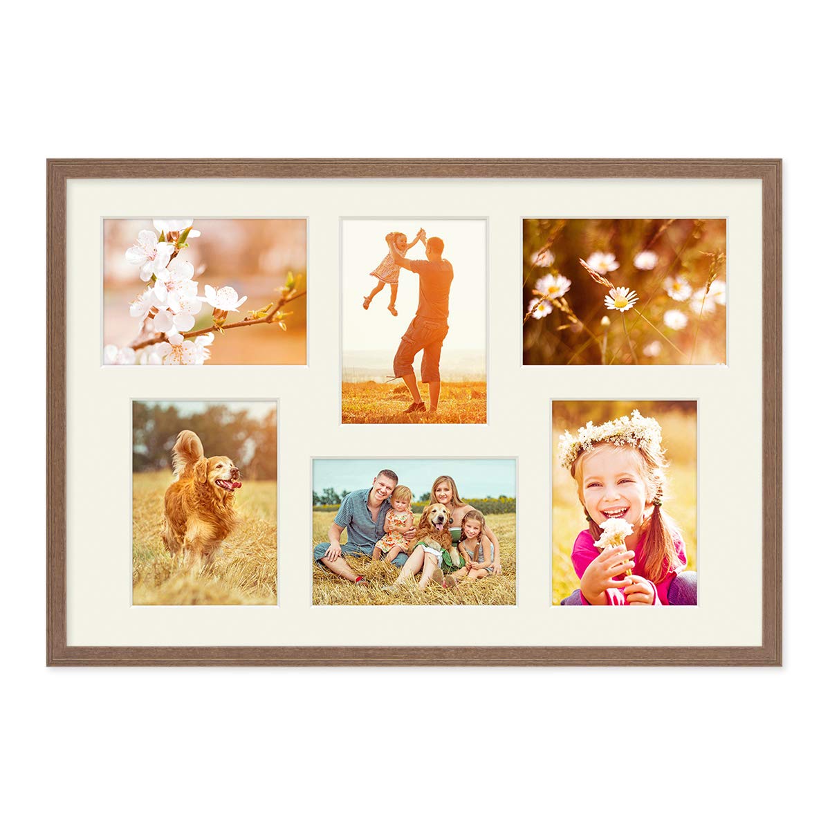 PHOTOLINI 5X Passepartout 40x60 aussen Creme-Weiß für 6X Passepartout 13x18 innen, alterungsbeständig & säurefrei 1,5 mm Schrägschnitt - Passepartoutrahmen mit Mehrfachausschnitt