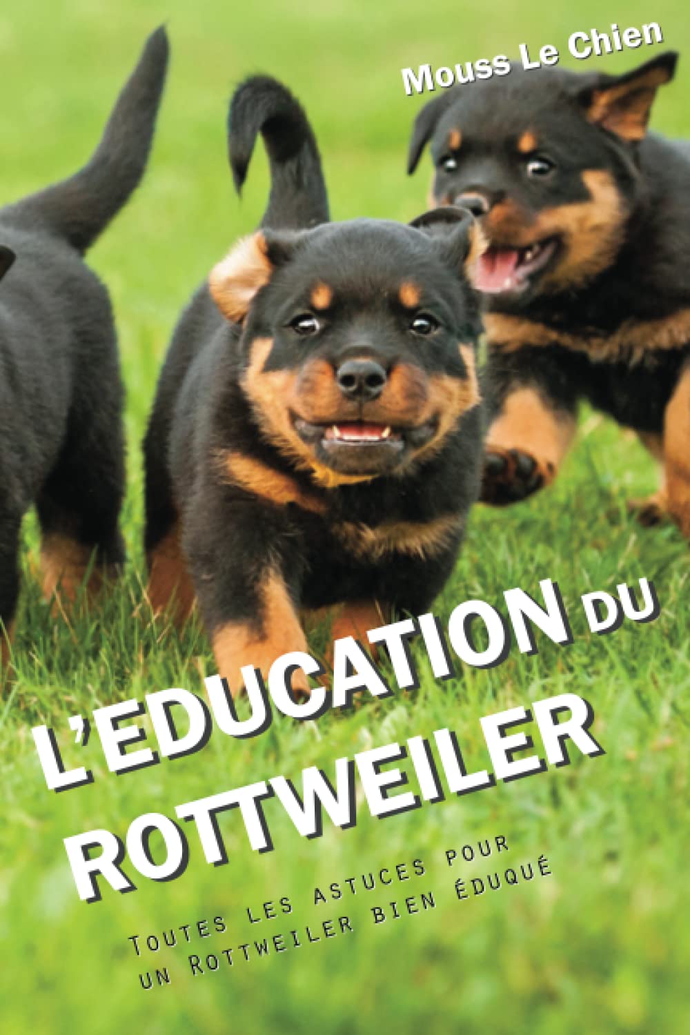 L'EDUCATION DU ROTTWEILER: Toutes les astuces pour un Rottweiler bien éduqué