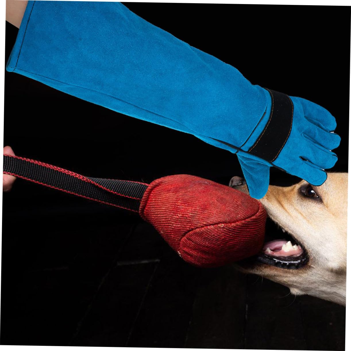 Guantes Sintética para Gatos Piel y Perros Antimordeduras