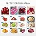 BeisttDry Vacuum Freeze Dryer Machine, 13.2 LBS/Batch Food Freeze Drying Lyophilizer Machine with 5-Layer Trays, Built-in Compressor, Industrial Fruit and Vegetables Vacuum Freeze Dryer