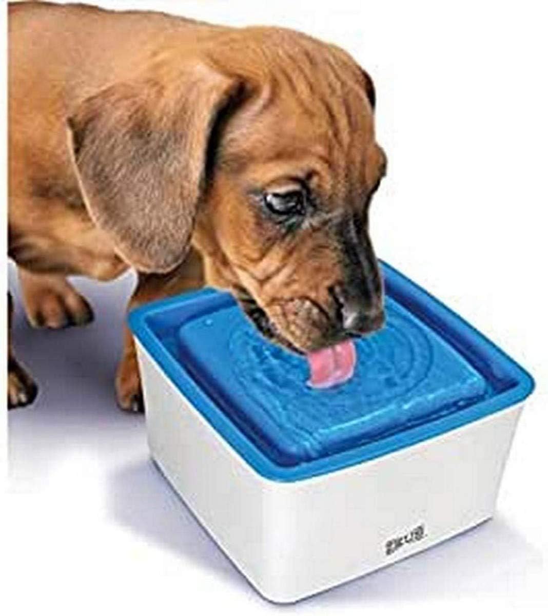 mini pet water fountain