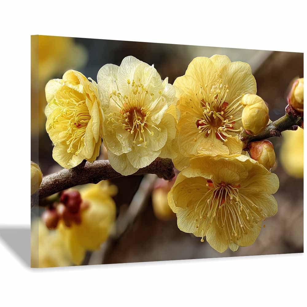 ZAMAEIU Large Nature Canvas Paintings Prints Winterss jasmine branches Landscape Picture, Modern Living Room Decor, Dining Room Hallway Home Decoration(yellow)-70x100cm Framed