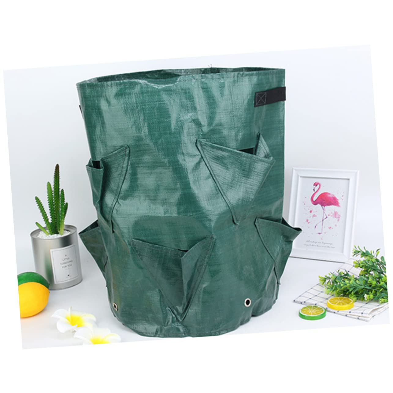 HANABASS 2 Series Bolsa De Plantación De Fresas PE De Unidades De Accesorios De Jardinería Colgantes Fomentan El Crecimiento Vegetal Ventilación De 2 Piezas*2