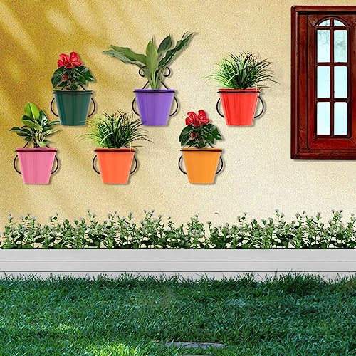 TrustBasket Rainbow Wall Mounting Planters with Stands (Set of 6) -Wall Hanging Pot Stand,Indoor/Outdoor Use,Home Decor/Garden Decor,Balcony Hanging,Office use with Multi-Color Pots