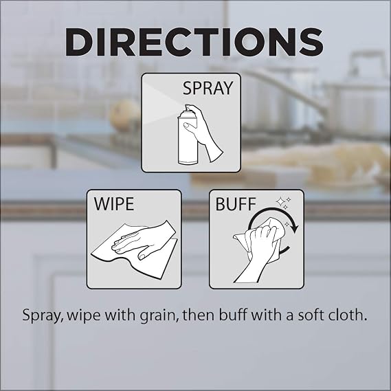 Stainless Steel Aerosol Cleaner