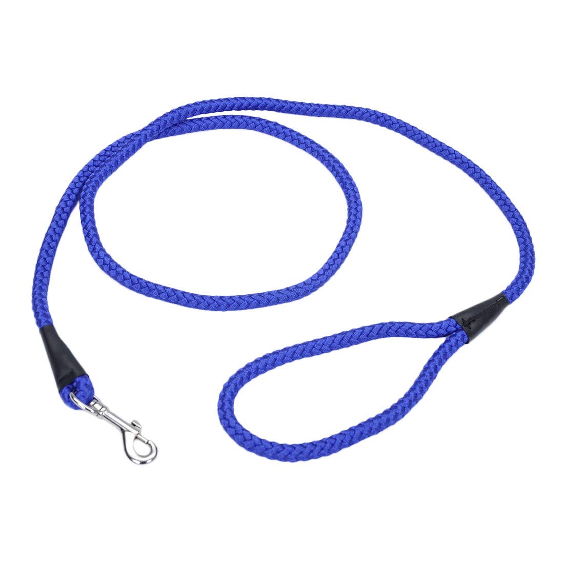 Coastal Pet Products 00206 BLU06 Dog Leash, 6'