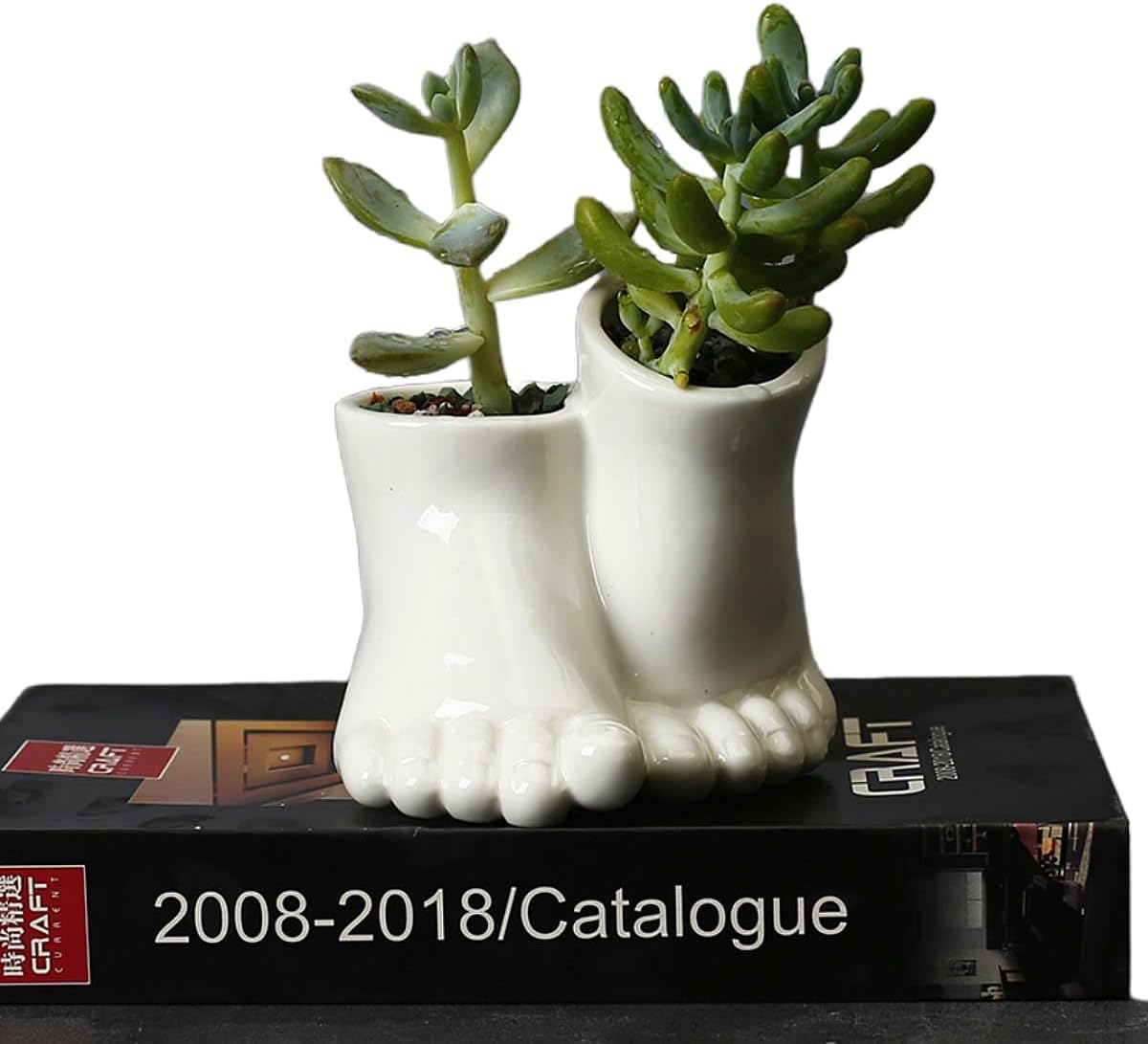 Novelty Human Feet Succulent Planter Pot, White Ceramic Air Plant Holders, Foot Statue Sculpture Porcelain Bonsai Container for Home Office Garden Decor, No Plants image 4